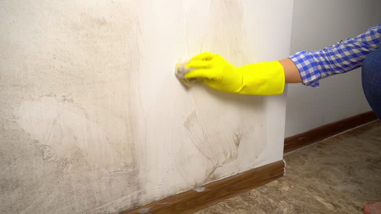 Best Asbestos and Lead Testing During Mold Inspection  in Latrobe, PA